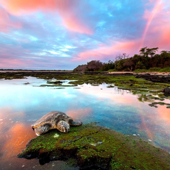 Meet your Posher, Tara - Picture 2 of 8